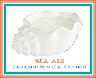 Tarro de vidrio perfumado Pier 1 Imports 3 mechas vela ¡Muchos para elegir! Fuera de producción Foto 1 de 2