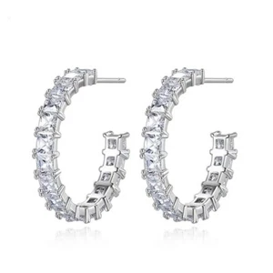ZARD Hoop Earrings with Brilliant Cut Cubic Zirconia - Picture 1 of 5