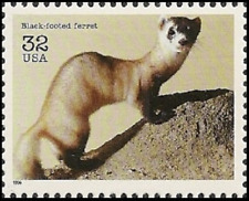 US #3105a MNH 1996 Endangered Species Black-footed Ferret