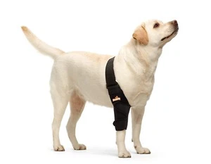 Dog Elbow Brace Protector Pads for Canine Elbow and Shoulder Support Elbow Hy... - Picture 1 of 8
