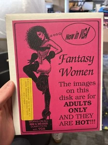 Extremely Rare Fantasy Women IBM PC VGA 3.5" Floppy, And Other Big Floppy Adult - Picture 1 of 6