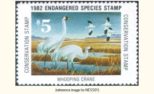 HALFPRICESOCIETY National Endangered Species 1982 $5 Stamp  (Whooping Crane) - Image 1 of 1