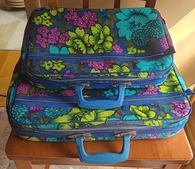 Juego/2 artículos de viaje vintage años 60 mediados de siglo anidación gallo azul floral para pasar la noche Foto 1 de 4