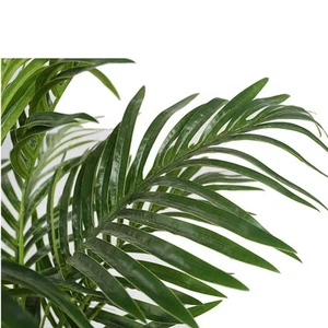 V-3287 1m Plastic Artificial Plant Palm Tree for Indoor Decoration - Picture 1 of 6