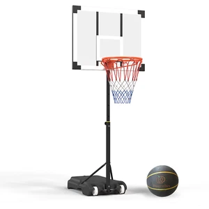 Danrelax Pool Basketball Hoop, Height Adjustable 3.9" to 6.9", Black Steel Frame - Picture 1 of 8