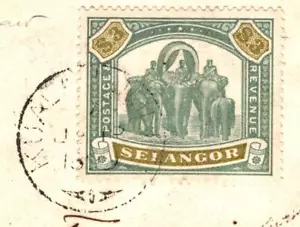Cubierta Malaya SELANGOR $3 ELEFANTE Alto Valor Registrado 1899 Con Certificado 7f - Imagen 1 de 12