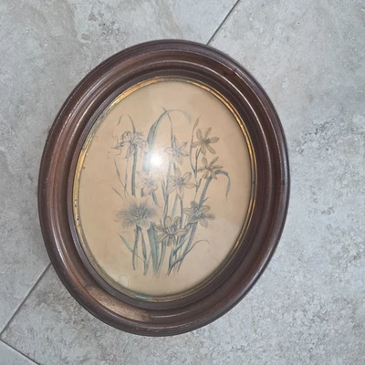 Arte de parede floral antiga vintage meados dos anos 1800 11" X 13" moldura oval nogueira vitoriana - Imagem 1 de 4