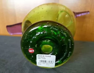 Iittala Bird Evening Bird Scope, apple green and amethyst | iittala from Japan - Picture 1 of 6