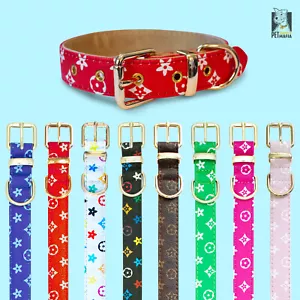 Luxury Leather Designer Dog Collar In XS, S, M, L, XL (Optional Leash Available) - Picture 1 of 43