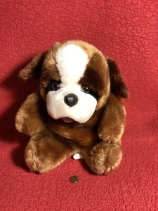 12" SKM ST BERNARD DOG ROLY POLY POT BELLY SOFT plush stuffed - Picture 1 of 4