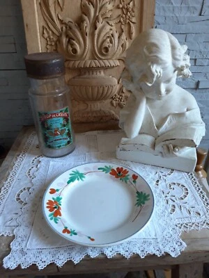 Assiette en faïence de Choisy-le-Roi, décor aux fleurs - Photo 1/4