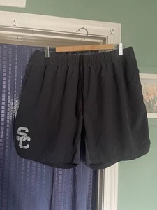 USC Trojans Speedo Grey Lightweight Shorts Men's L - Picture 1 of 7