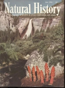 1955 Natural History Magazine - June: Yosemite/Diamonds/Fireflies/Carl Bodmer - Picture 1 of 1