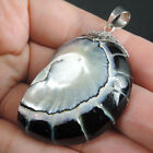 925 Sterling Silver Large Black Natural Nautilus Shell Pendant Jewelry, NSP-265