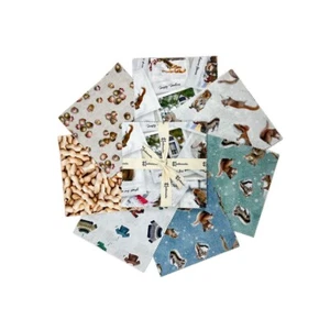 Secret Life of Squirrels Charm Pack 5" squares Fabric Nancy Rose Quilt Fabric - Picture 1 of 2