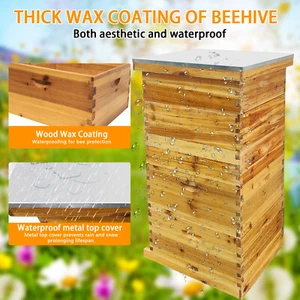 Natural Bees Wax Coated Bee Hive 1 Medium &2 Deep Boxes for Beginners No Frames - Picture 1 of 8