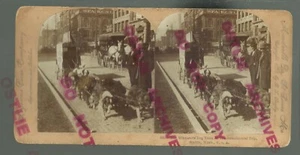 Brainerd MINNESOTA RPSV 1898 CROSS COUNTRY TRAVELER Dog Team WAGON Walker - Picture 1 of 3