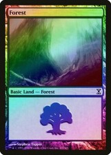 Forest (301) FOIL Time Spiral PLD Basic Land MAGIC GATHERING CARD ABUGames