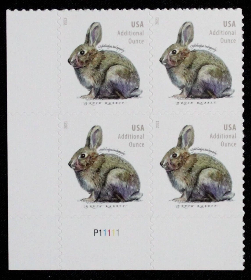 US Plate Blocks Stamps #5544 ~ 2021 20c Brush Rabbit MNH SA RL56 - Image 1 of 1