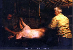 CARTOLINA SICILIA POSTCARD SICILY CUSTONACI PRESEPIO PRESEPE VIVENTE - Foto 1 di 1