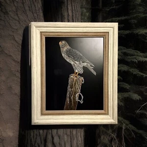 Scratch Art Picture Bird Falcon Freedom Wood Stump Frame 11 X 13”  Wall Tabletop - Picture 1 of 8