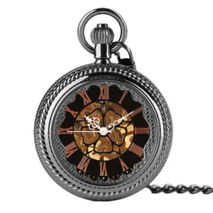 Transparent Cover Hand-winding Mechanical Skeleton Roman Numberals Pocket Watch - Picture 1 of 12