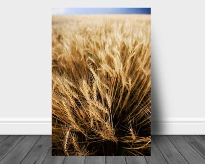 Wheat Field Metal Print: Oklahoma Farm Country Rural Vertical Farmhouse Wall Art - Image 1 of 4