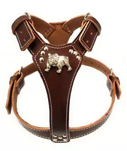 More details for dark brown leather dog harness large with english bulldog badge