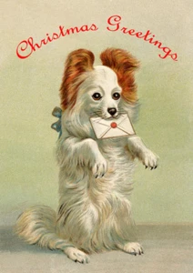 PAPILLON SINGLE DOG PRINT GREETING CHRISTMAS CARD - Foto 1 di 1