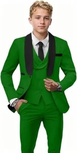 Boy Suit Formal Set Shawl Lapel Tuxedo Jacket Vest Pant Wedding Groom Party 3Pcs - Picture 1 of 30