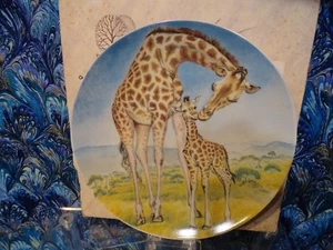 Yin-Rei Hicks pittore naturalista KNOWLES PLATE - "Un bacio per madre" 1981 BELLO - Foto 1 di 4