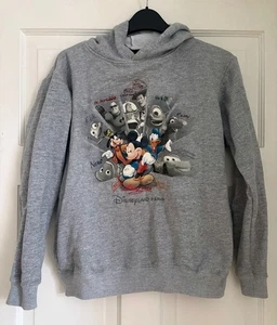 DISNEYLAND PARIS Grey HOODIE MICKEY All Characters RARE Age 12 Years 37" Chest - Picture 1 of 3