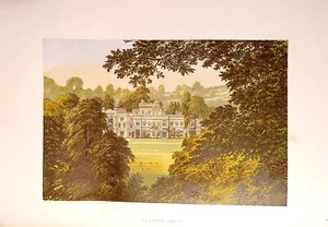 1880 Old Print = HAMPTON COURT = Castelli Gran Bretagna = CROMOLITOGRAFIA V2 - Picture 1 of 1
