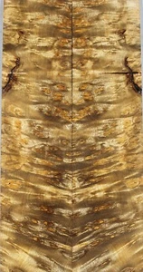 ZS044 Bookmatch incrustación madera ojo de pájaro alcanfor dorado caja fabricación chapa de marquetería - Imagen 1 de 4