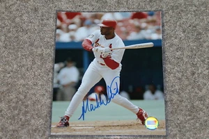 MARK WHITEN AUTOGRAPHED CARDINALS 8X10 PHOTO POSE 1 - Picture 1 of 2