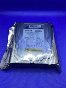 Western Digital 3.5" 250GB HDD SATA / 64MB Cache - Model WD2503ABYX-01WERA0 - Picture 1 of 3