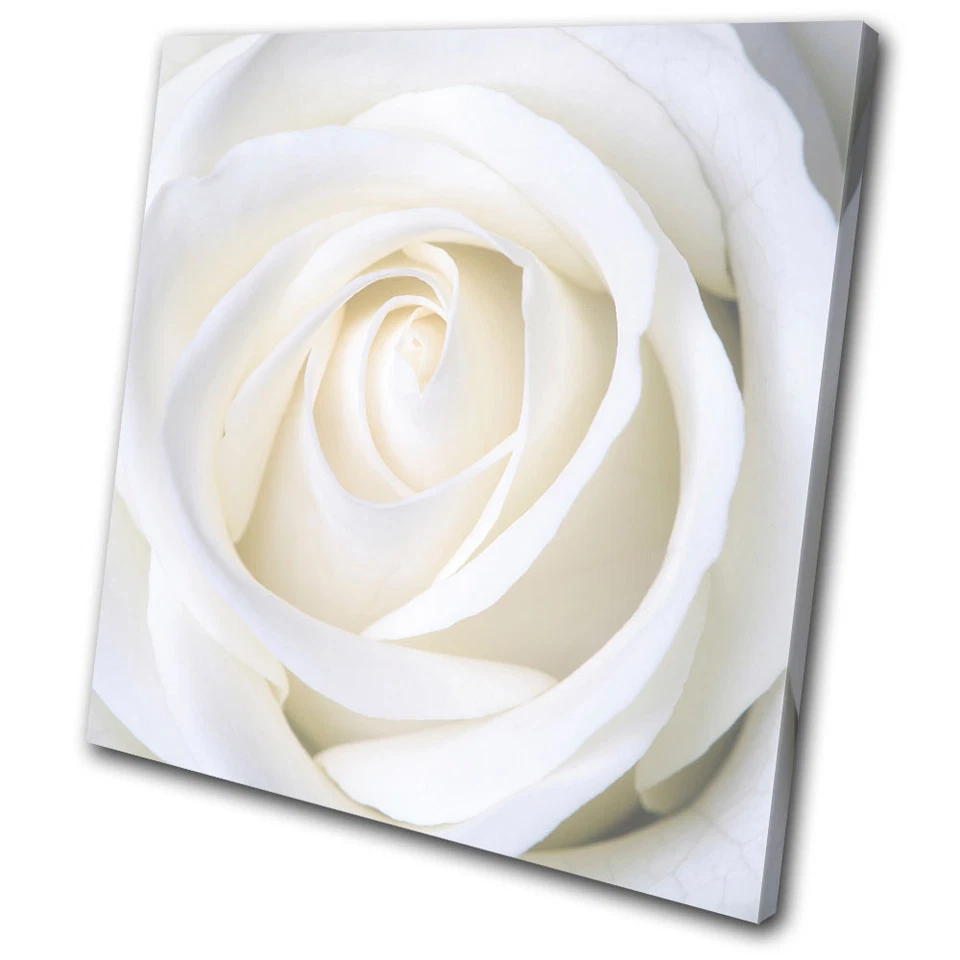 Floral Rose Love Flowers SINGLE CANVAS WALL ART Picture Print VA - Image 1 of 1