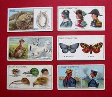 WILLS  6 ANTIQUE 1922 CIGARETTE CARDS  DO YOU KNOW   7-10-15-27-38-44  SERIES 1