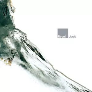 Recoil Alan Wilder Liquid 2LP Black Vinyl 2023 Mute STUMM173 - Picture 1 of 1