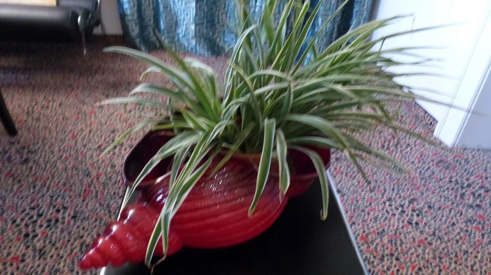 Grandiose Muschel, „Marina“ als Keramik Blumenübertopf, in intensiver roter Glas - Bild 1 von 4