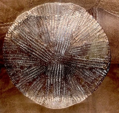 Plato redondo de vidrio transparente DANSK de 13,5” pulgadas con patrón de maíz impreso Foto 1 de 4