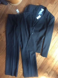 NWT ~ Ann Taylor Loft Fully Lined Women's Gray Pinstripe Pant Suit Size 8/12 - Picture 1 of 8