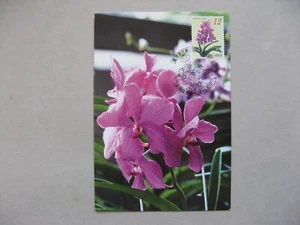 CHINA TAIWAN, maximumcard maxi card 1996, flower orchid - Picture 1 of 1