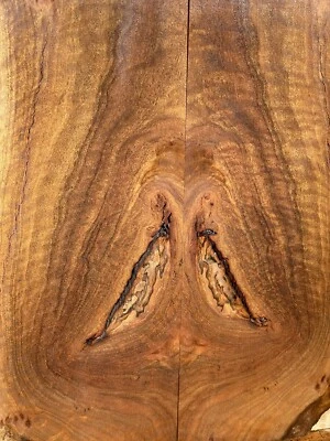 Figured Eucalyptus Burl Guitar Top - Figured Guitar Wood Luthier Lumber - Image 1 of 4