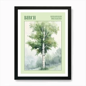 Birch Tree Atmospheric Watercolour Framed Wall Art Poster Canvas Print Picture - Picture 1 of 4