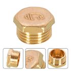 Premium Brass Threaded Fitting Blind Plug IG Cap Closure for Water Pipe (2pcs)