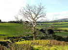 Photo 6X4 Dead Tree Near Pilsley Pilsley/Sk2471 This Tree Stands On Its  C2007