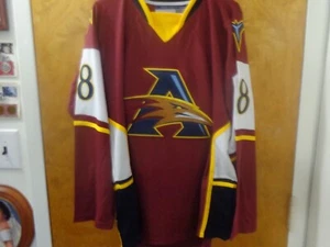 Atlanta Thrashers #18 Marian Hossa Concept 3rd Alternate - Picture 1 of 6