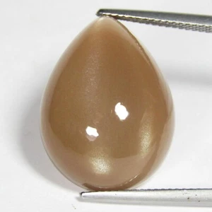 24.44Cts Natural Earth Mined Brown Color Moonstone Pear Cabochon Loose Gem - Picture 1 of 3
