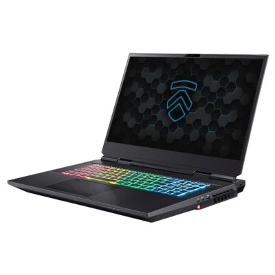 Eluktronics THICC-17 17.3" Gaming Laptop i7 10700K RTX 2080 Super 1TB 64GB W 10 - Image 1 of 4